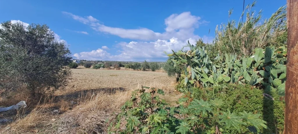 4,014m² Plot for Sale in Episkopi, Limassol District