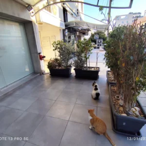 65m² Commercial for Sale in Limassol District