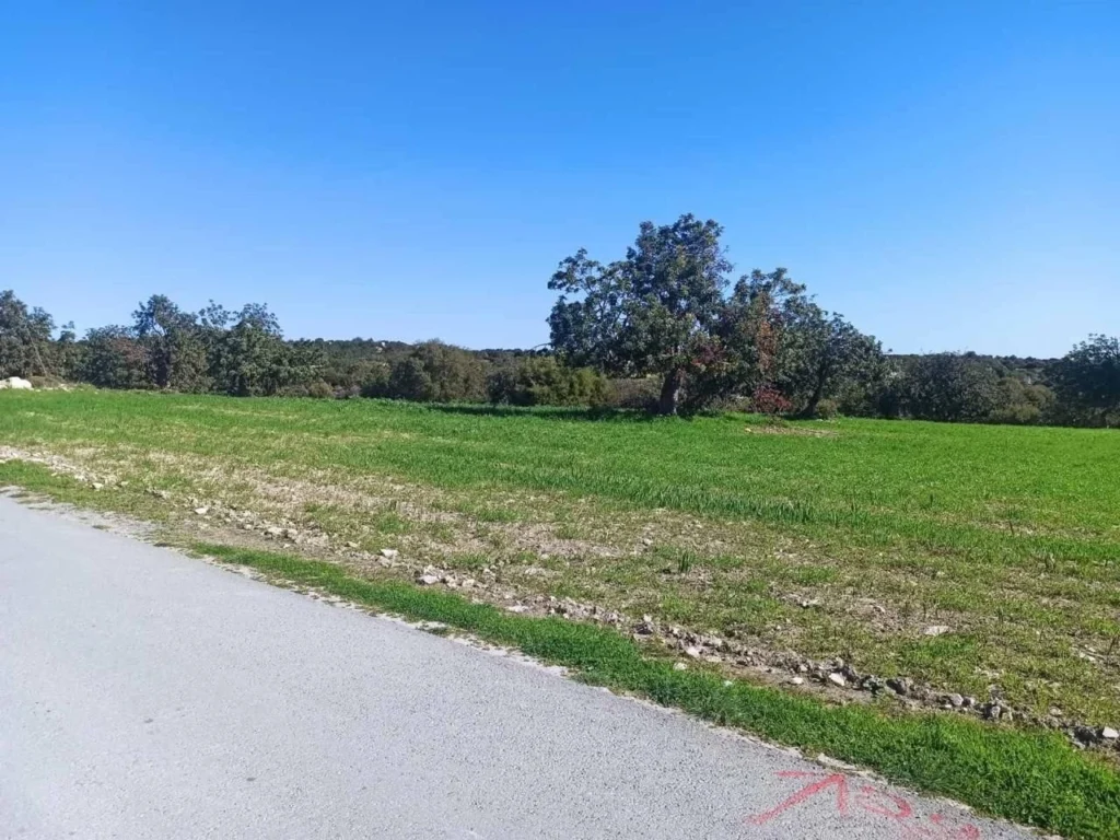 2,297m² Plot for Sale in Anogyra, Limassol District