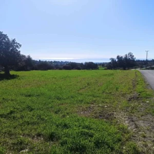 4,584m² Plot for Sale in Anogyra, Limassol District