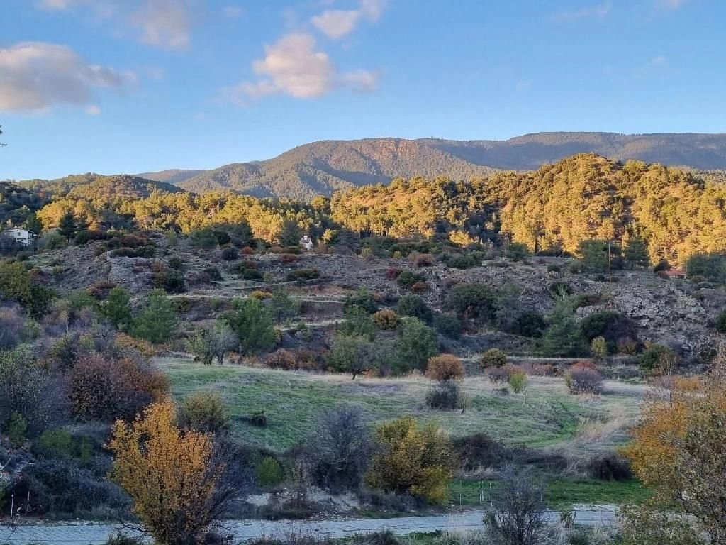 2,759m² Plot for Sale in Pera Pedi, Limassol District