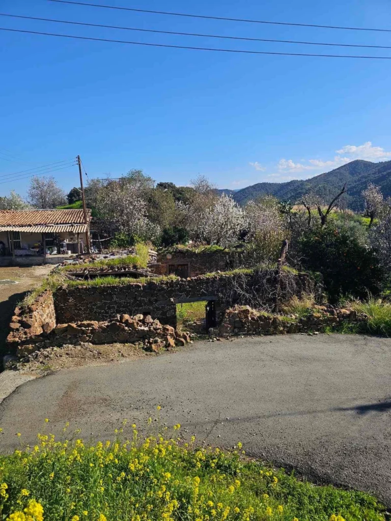 6,021m² Plot for Sale in Paphos District