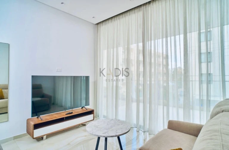 1 Bedroom Apartment for Rent in Limassol District