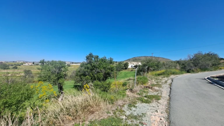 2,700m² Plot for Sale in Anarita, Paphos District