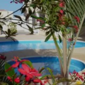 3 Bedroom Apartment for Sale in Chlorakas, Paphos District