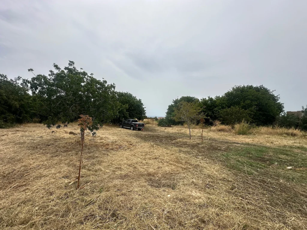 4,303m² Plot for Sale in Empa, Paphos District