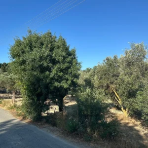 930m² Plot for Sale in Polemi, Paphos District