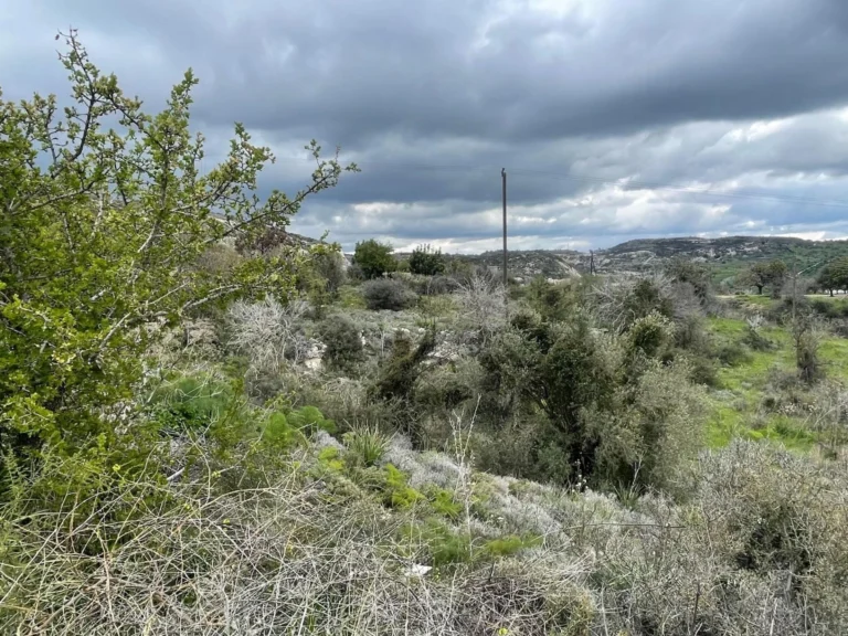 3,460m² Plot for Sale in Marathounta, Paphos District