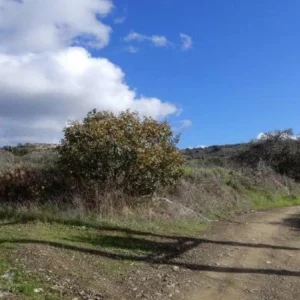 28,763m² Plot for Sale in Meladeia, Paphos District