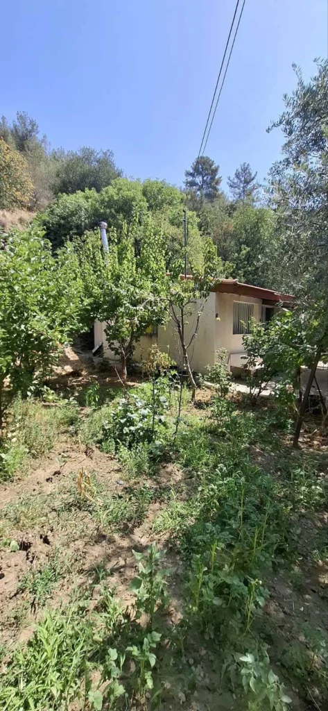 2 Bedroom House for Rent in Zoopigi, Limassol District