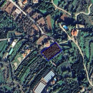 2,343m² Plot for Sale in Nea Dimmata, Paphos District
