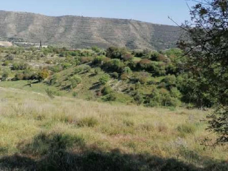 4,684m² Plot for Sale in Dora, Limassol District