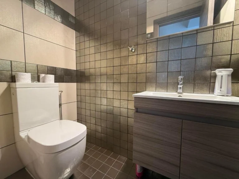 5 Bedroom House for Sale in Argaka, Paphos District