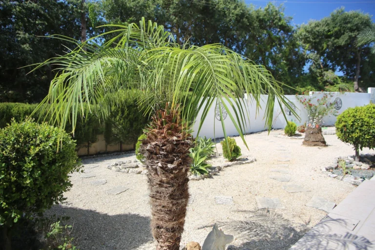 3 Bedroom House for Sale in Paphos District