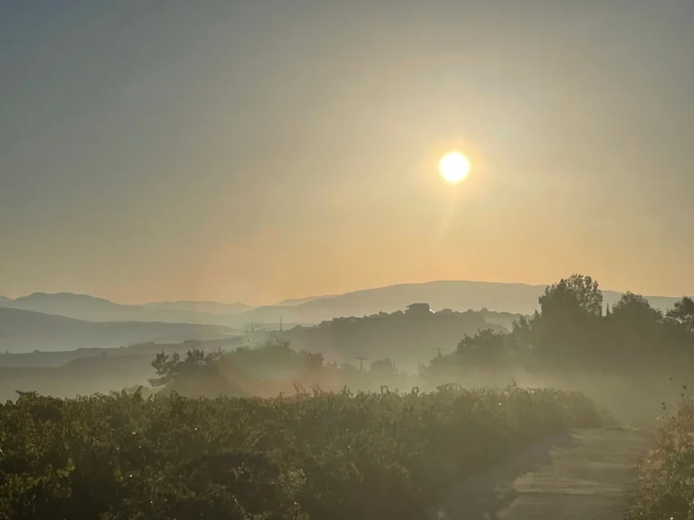 3 Bedroom House for Sale in Paphos District