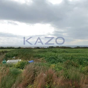 6,382m² Plot for Sale in Maroni, Larnaca District