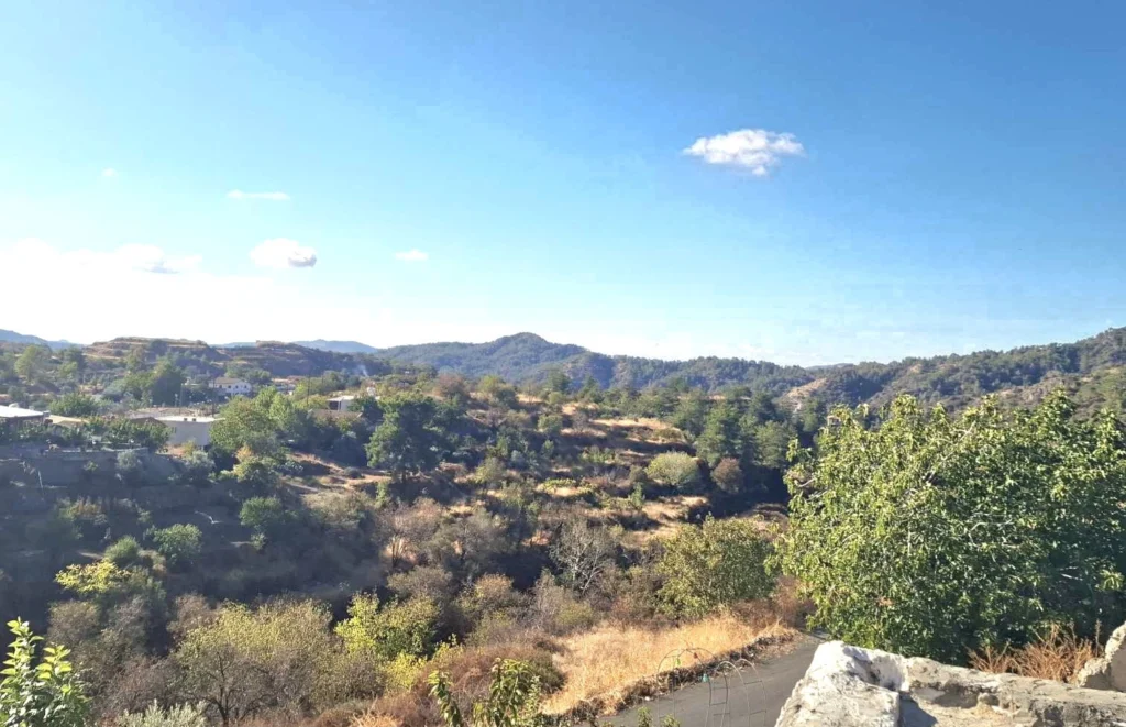 1 Bedroom Apartment for Rent in Pelendri, Limassol District