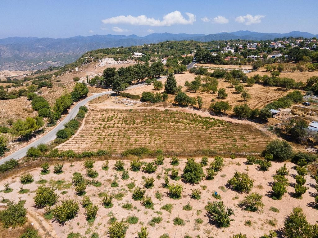 7,358m² Plot for Sale in Fyti, Paphos District