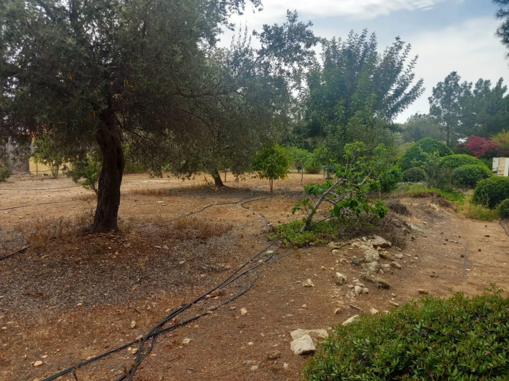 1,623m² Plot for Sale in Paphos District
