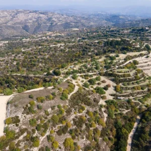 8,027m² Plot for Sale in Koili, Paphos District