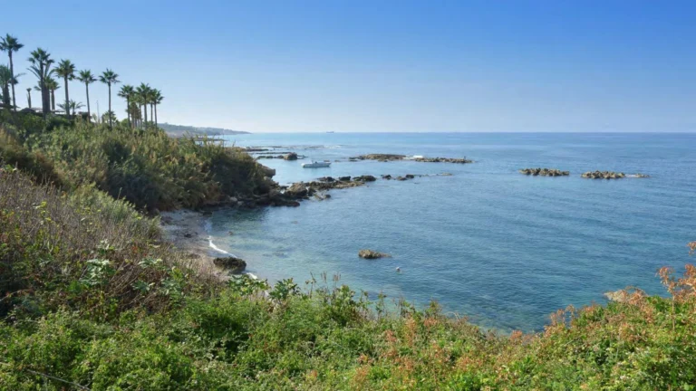 for Sale in Kissonerga, Paphos District