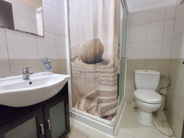1 Bedroom Apartment for Rent in Larnaca District