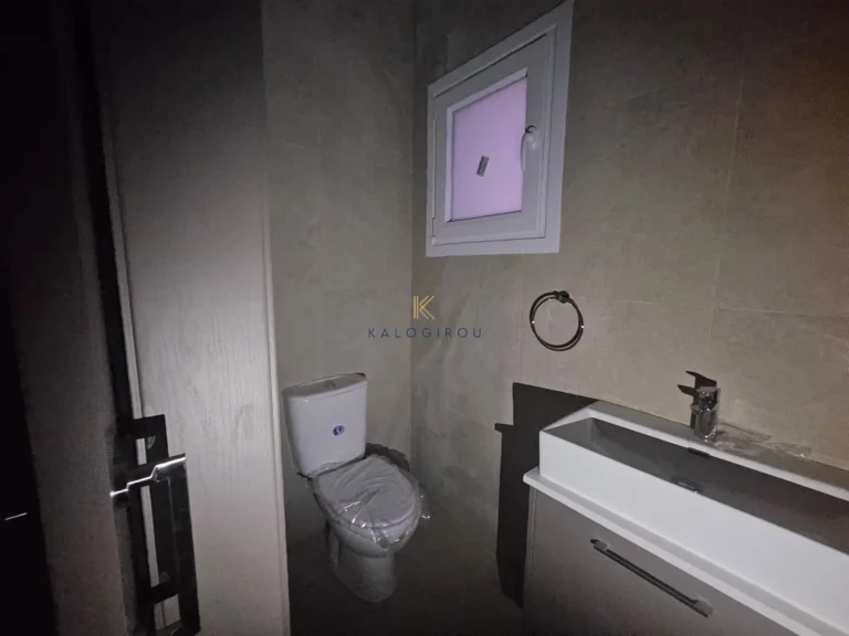 2 Bedroom Apartment for Rent in Larnaca District