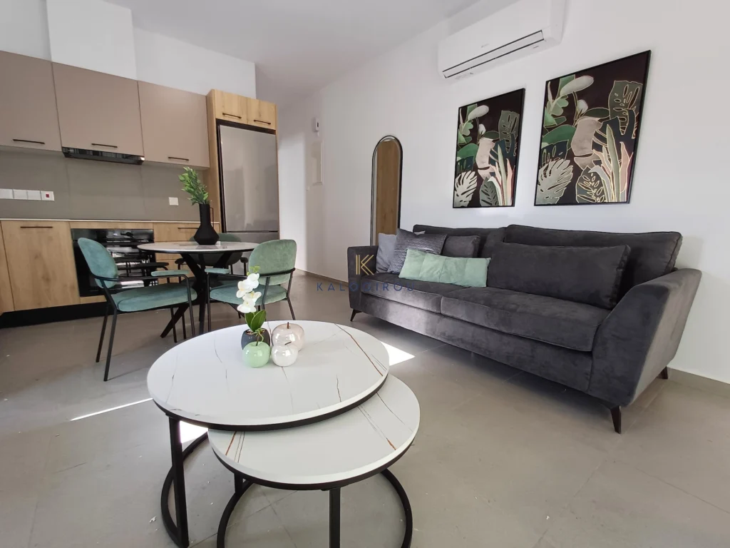 1 Bedroom Apartment for Rent in Larnaca District