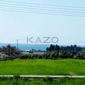 13,378m² Plot for Sale in Timi, Paphos District