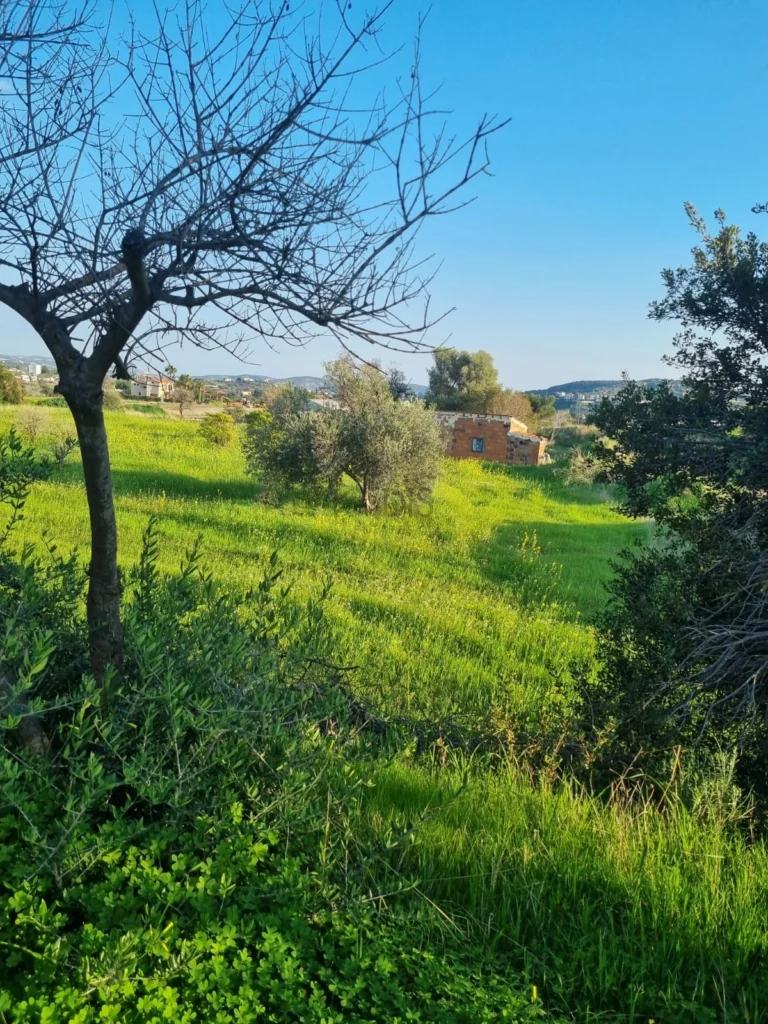 9,040m² Plot for Sale in Parekklisia, Limassol District