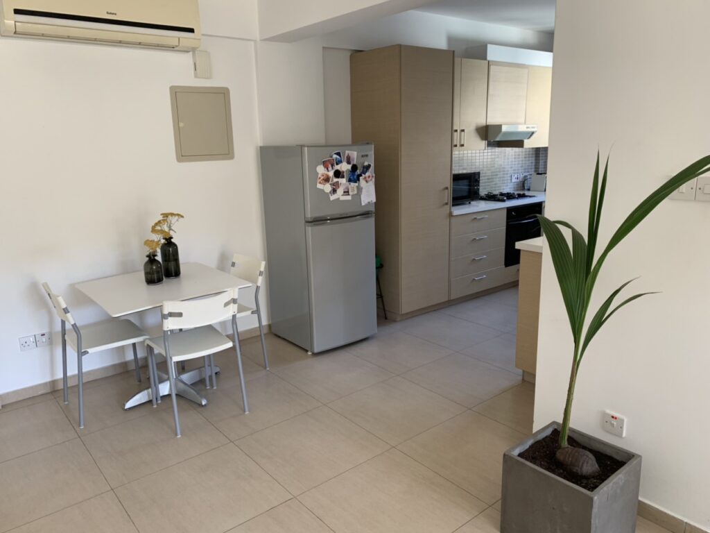 1 Bedroom Apartment for Rent in Nicosia – Pallouriotissa