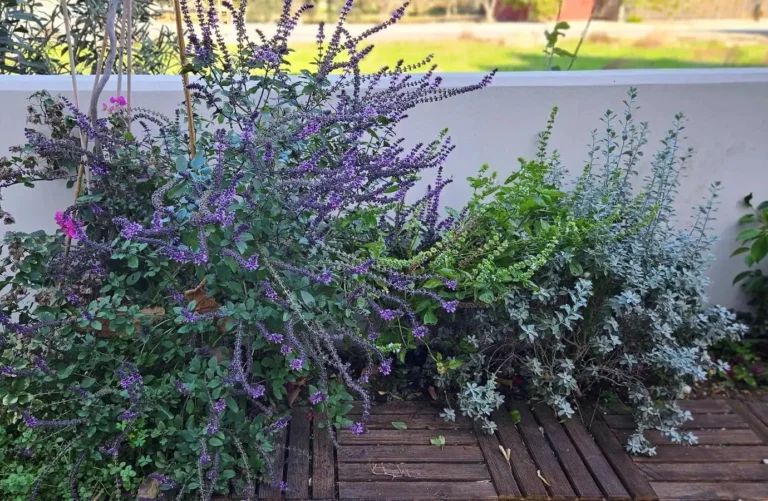 3 Bedroom House for Sale in Kiti, Larnaca District