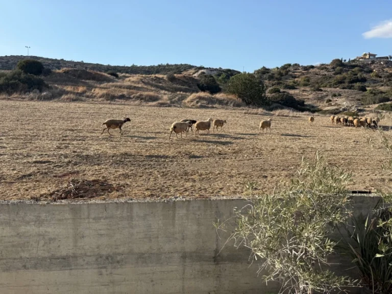 4 Bedroom House for Sale in Parekklisia, Limassol District