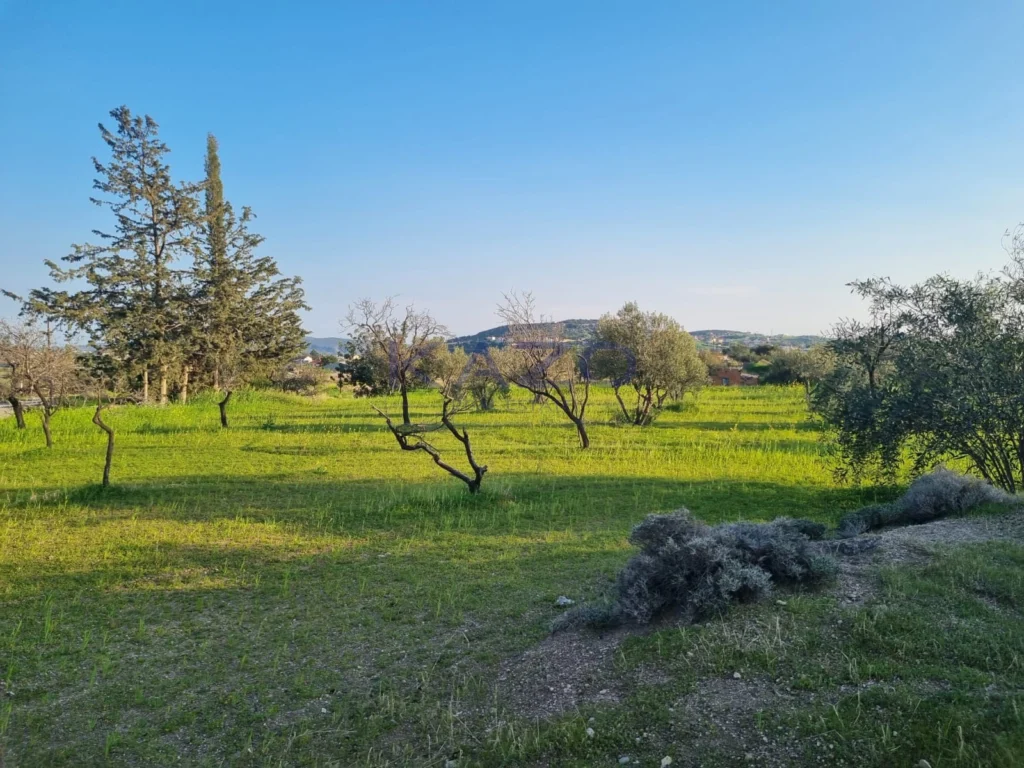 9,040m² Plot for Sale in Parekklisia, Limassol District