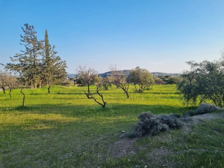9,040m² Plot for Sale in Parekklisia, Limassol District