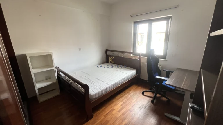 304m² House for Rent in Drosia, Larnaca District