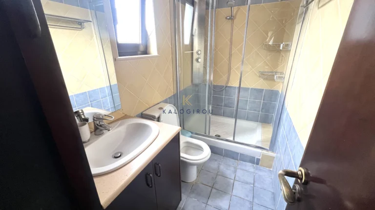 304m² House for Rent in Drosia, Larnaca District