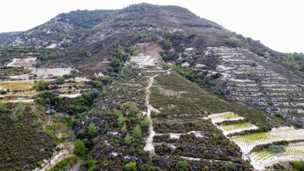 25,284m² Plot for Sale in Agios Mamas, Limassol District