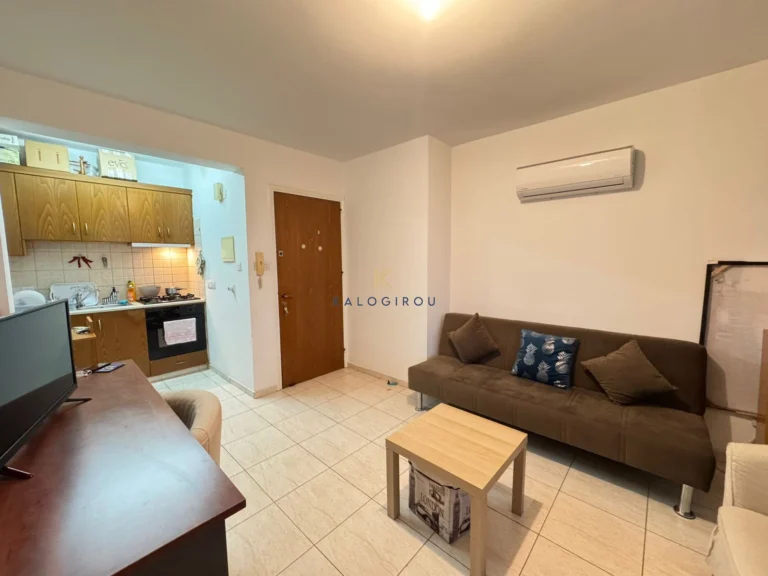1 Bedroom Apartment for Rent in Larnaca District