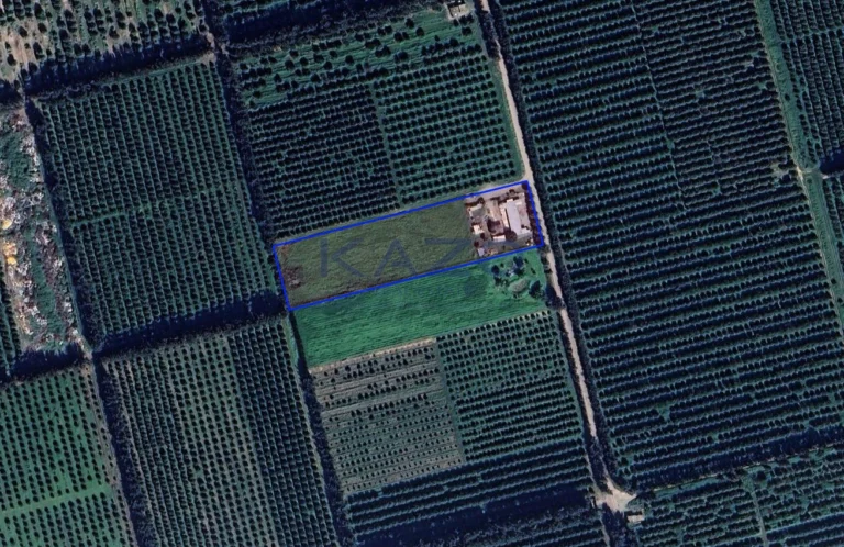 9,999m² Plot for Sale in Kolossi, Limassol District