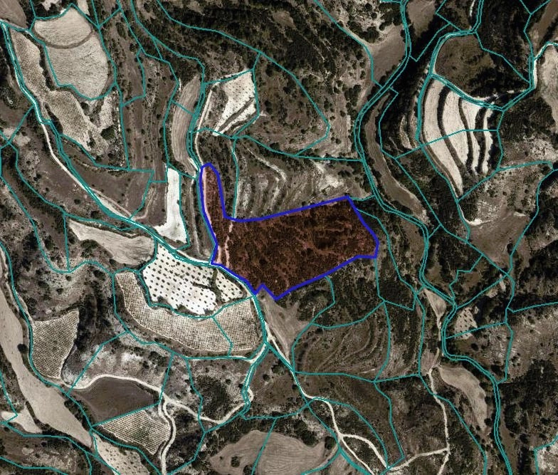 21,640m² Plot for Sale in Polemi, Paphos District