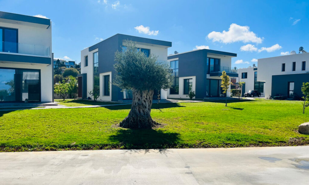 3 Bedroom House for Sale in Chlorakas, Paphos District